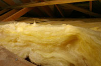 Bransbury pitch roof insulation